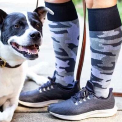 walking dog with compression stockings on